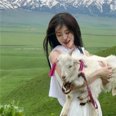 暮光之城：新月